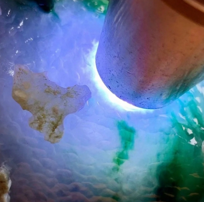 翡翠分类指南：按种水/颜色/产地划分及特征对比